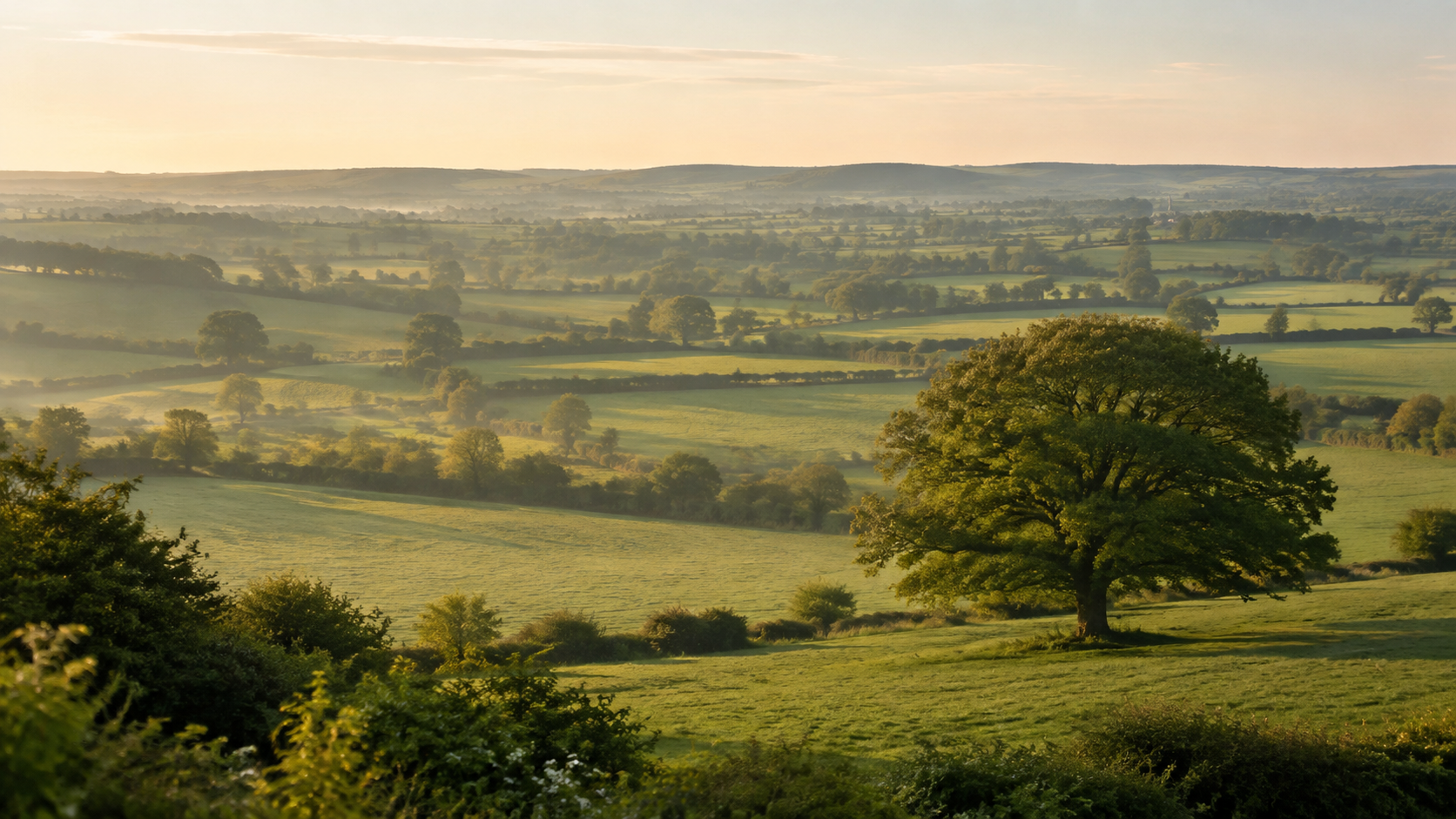 Illustrative rolling fields in warm morning light
